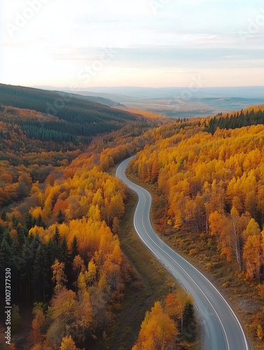 Autumn drive through forest ariel view