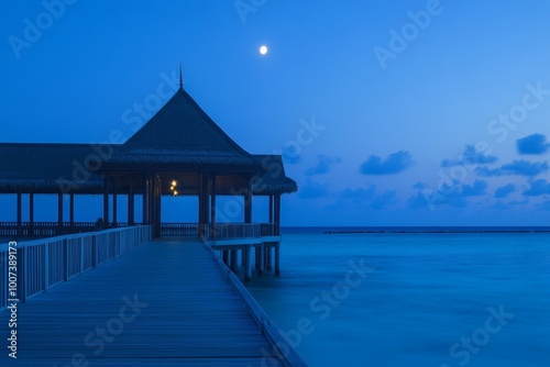 The Kuramathi Island is located in the Rasdhoo atoll, the Ari atoll, the Maldives photo