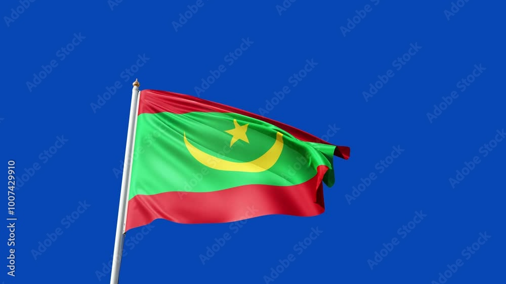 flag of mauritania on a blue screen, no background, transparent background, waving in the wind, national symbol of mauritania, african country, tall flagpole, video of a flag flag of mauritania on a blue screen, no background, transparent background, waving in the wind, national symbol of mauritania, african country, tall flagpole, video of a flag