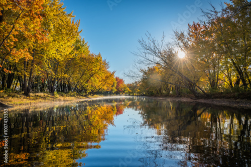 Autumn trees reflected in calm water with sun shining through leaves