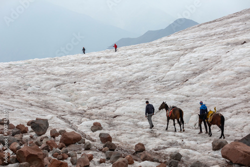 A traveler guides two packhorses through lush, misty mountain terrain, laden with gear and supplies. photo