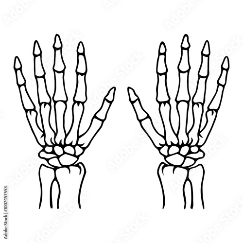 Skeleton Hands