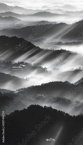 Monochrome Nature