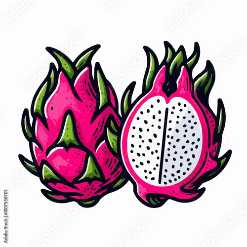 illustration of a dragon fruit