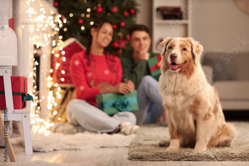 Cute dog and young couple a...