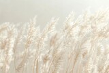 Tranquil landscape featuring gentle wheat grasses against a calming beige minimalist backdrop