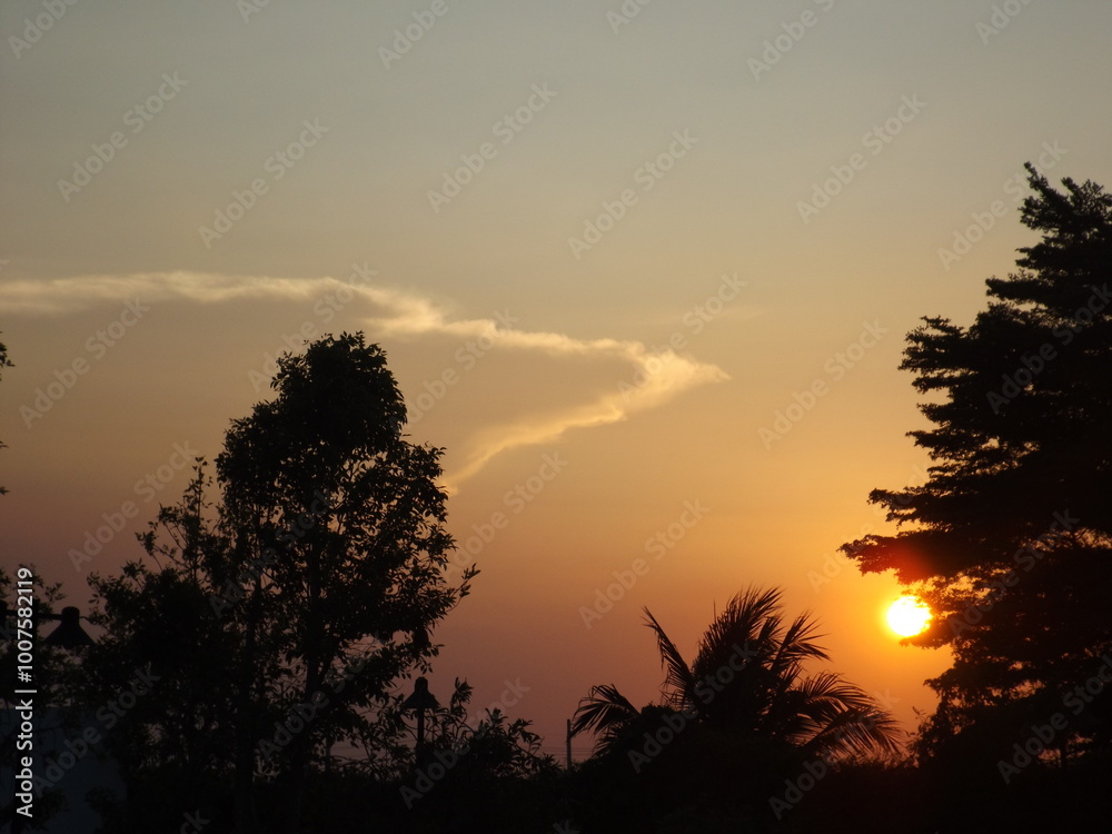 Light and Shadow Art: The setting sun creates beautiful shadows created by nature. Light and Shadow Art: The setting sun creates beautiful shadows created by nature.