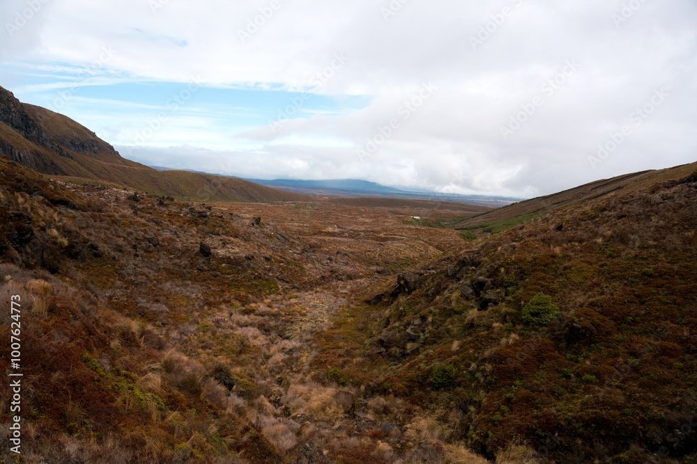 autumn Mountain Landscape in the Tongariro National park