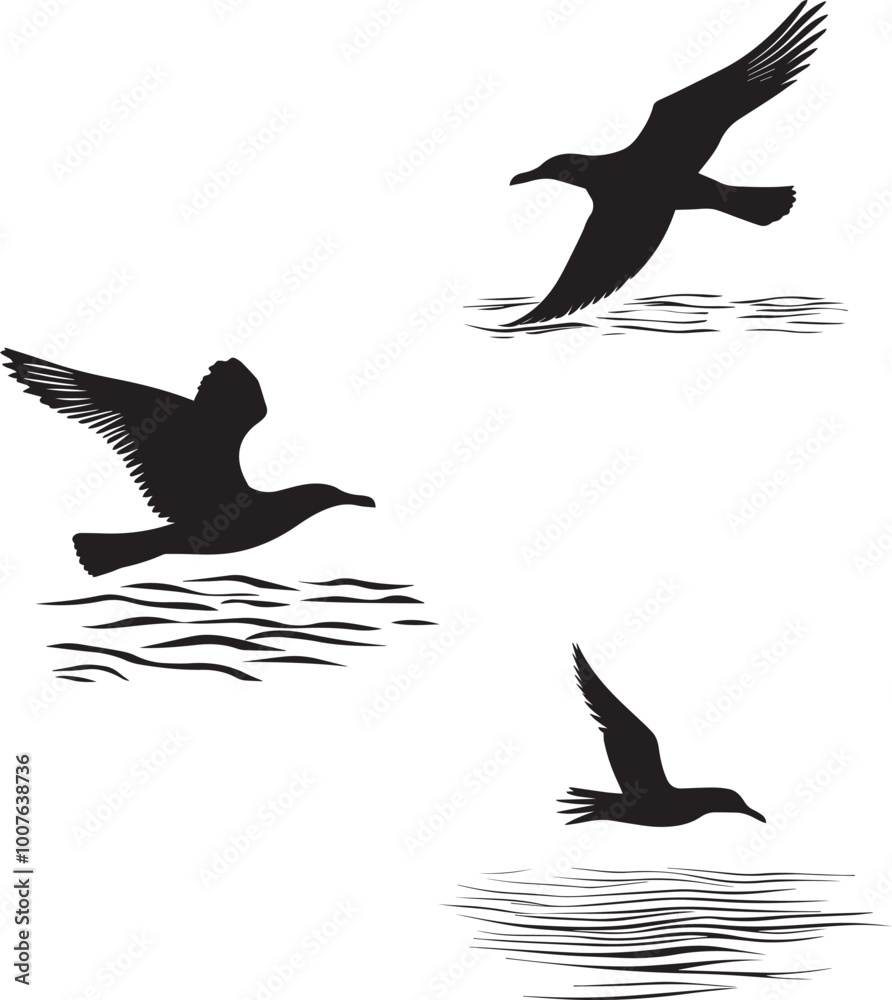 Fototapeta premium Silhouette of a seagull gliding over the water vector collection