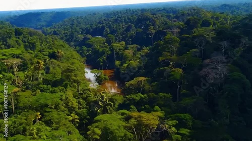 Amazon rainforest, the vast expanse of trees. The dips below the treetops to reveal rivers, wildlife, and hidden villages