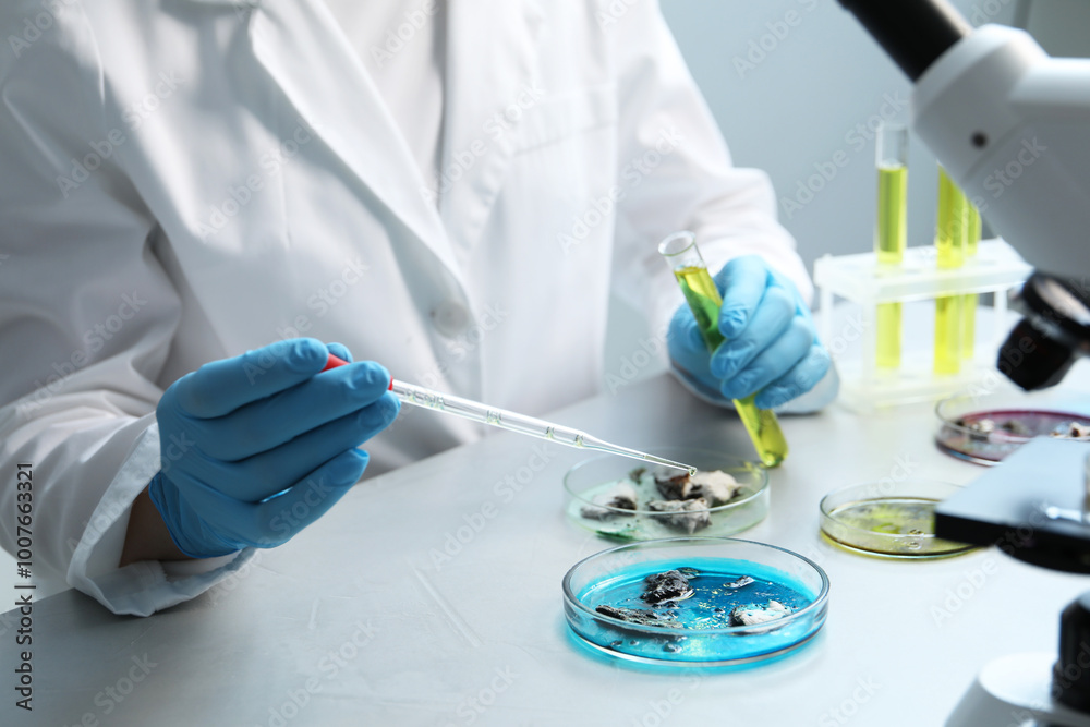 Laboratory worker taking sample with pipette from petri dish at light table, closeup Laboratory worker taking sample with pipette from petri dish at light table, closeup