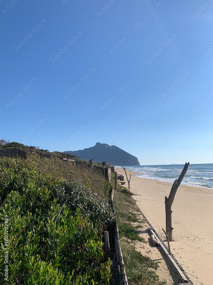 Obraz premium path to the beach