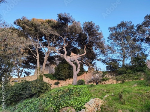 Bosque de Tossa, Tossa del mar, España, playa,  photo