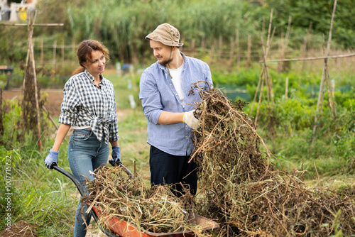 Farmer peasant brother and sister family cleans backyard, puts branches and plant remains in wheelbarrow. Male and female assistant cleans area near country house.