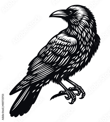 Crow silhouette vector illustrations