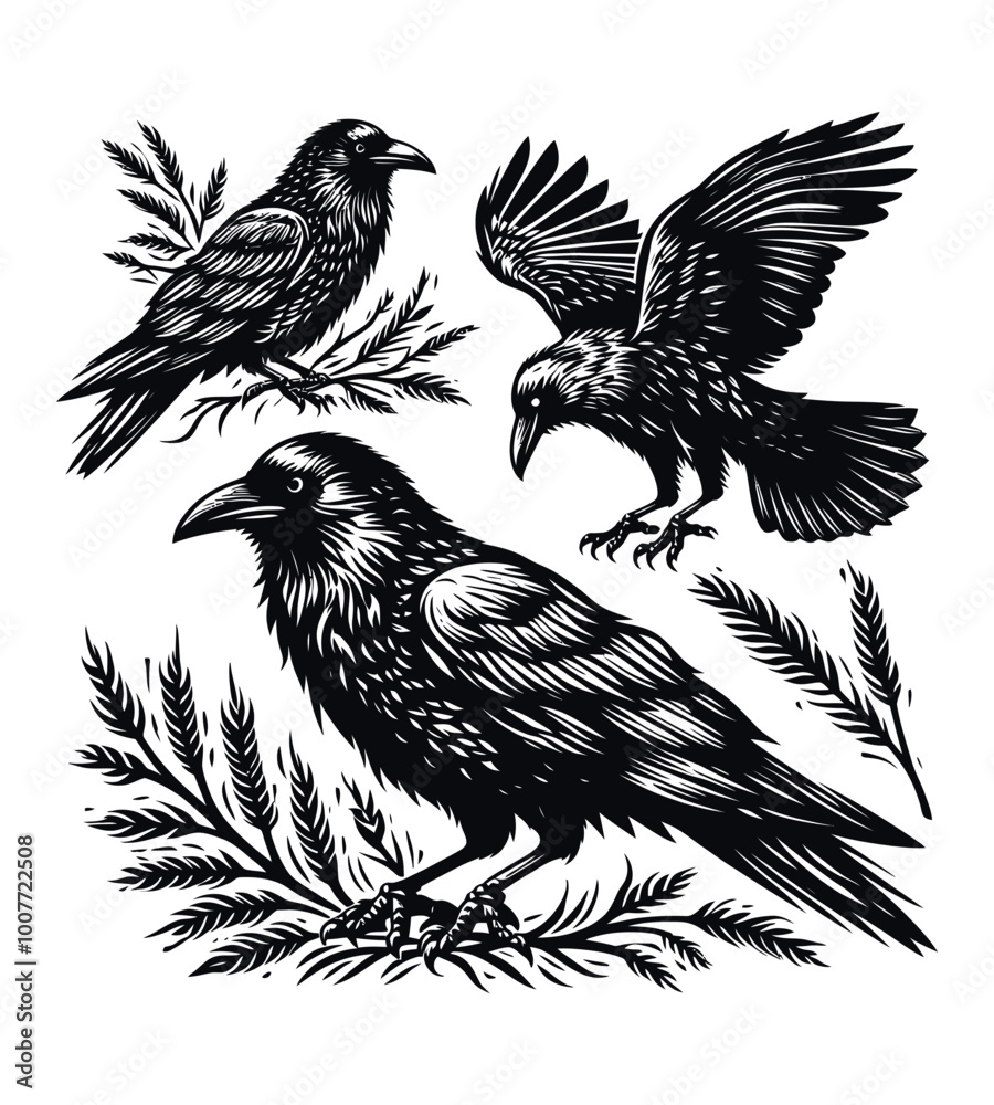Obraz premium Crow silhouette vector illustrations