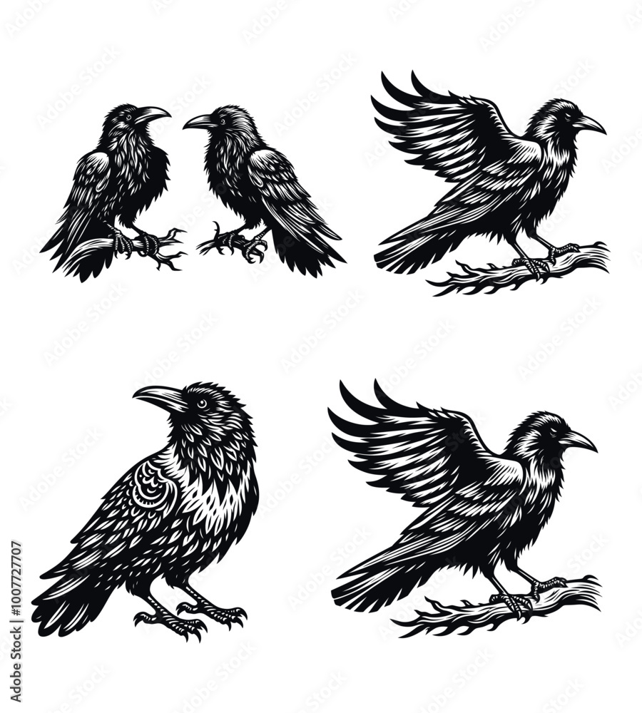 Naklejka premium Crow silhouette vector illustrations