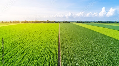 Satellite Technology Enhancing Sustainable Agriculture - Advancing Environmental Monitoring to Reduce Carbon Footprint and Promote Resource Conservation