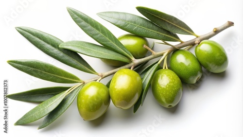 Wallpaper Mural Olive branch with green olives isolated on , olive, branch, green, olives, isolated,nature, healthy, fresh, Mediterranean Torontodigital.ca