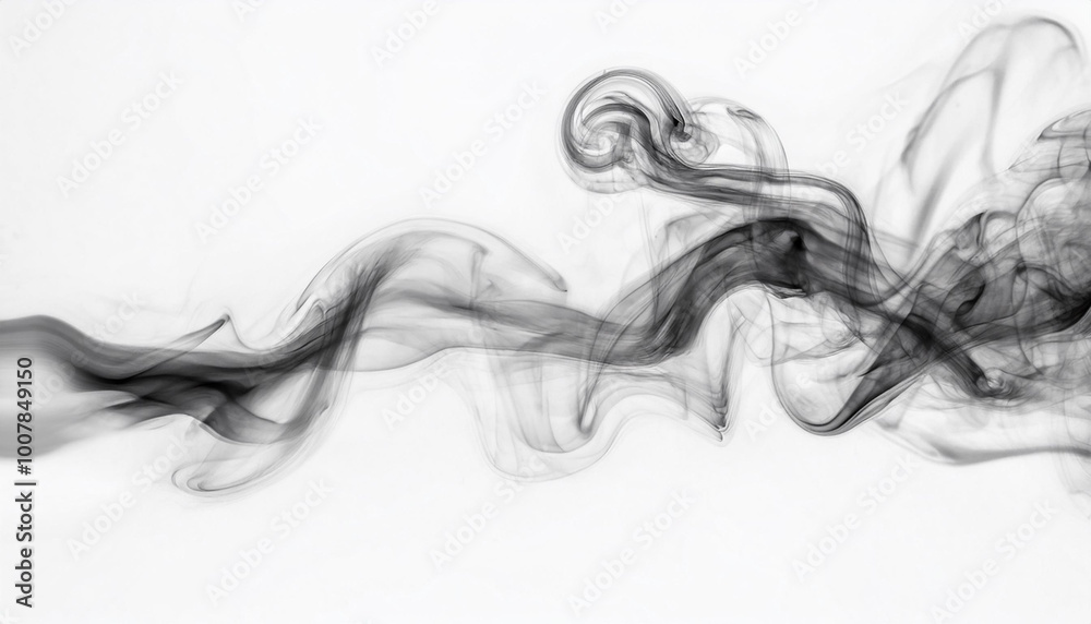 Fototapeta premium A abstract black and gray thick smoke like a cloudy on white background