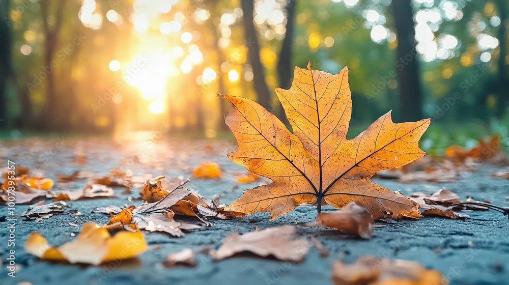A single vibrant autumn leaf rests gently on the forest path, bathed in warm golden sunlight. The peaceful atmosphere and soft light create a serene, tranquil moment amidst the season's beauty. A single vibrant autumn leaf rests gently on the forest path, bathed in warm golden sunlight. The peaceful atmosphere and soft light create a serene, tranquil moment amidst the season's beauty.