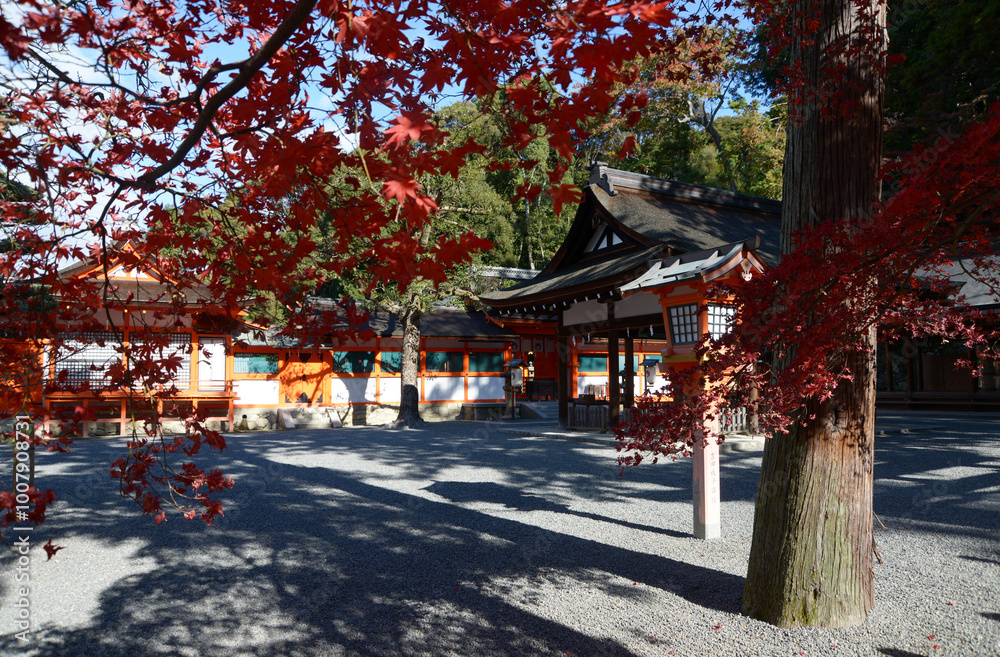 吉田神社　境内の紅葉　京都市左京区