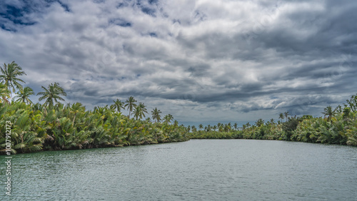 The bed of a calm tropical river bends. Ripples on the turquoise water. There are impenetrable thickets of lush palm trees on the banks. Clouds in the blue sky. Philippines. Bohol. Loboc River 