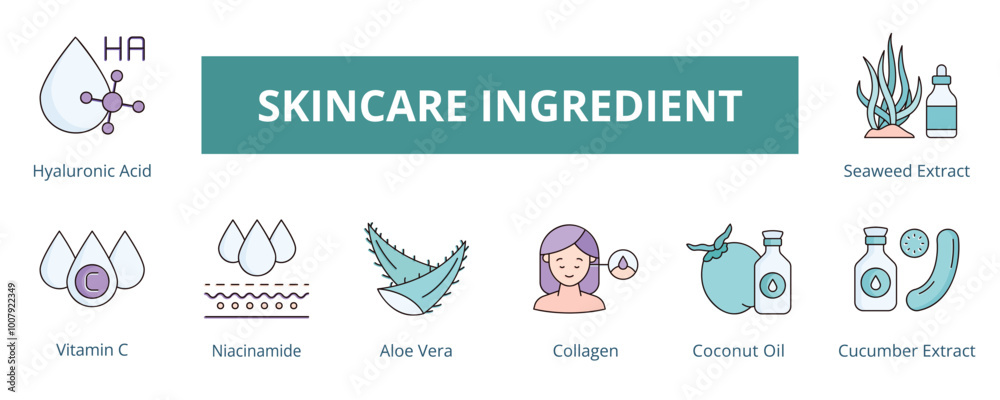 Skincare Ingredient Lineal Color Banner Web Icon Set Vector Illustration, Hyaluronic Acid Vitamin C Aloe Vera Collagen Coconut Oil Cucumber Extract Seaweed Extract Skincare Ingredient Lineal Color Banner Web Icon Set Vector Illustration, Hyaluronic Acid Vitamin C Aloe Vera Collagen Coconut Oil Cucumber Extract Seaweed Extract