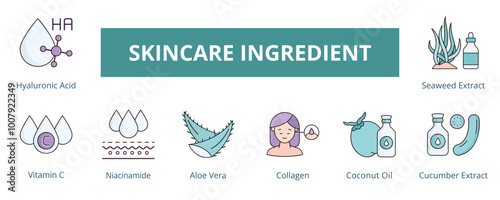 Skincare Ingredient Lineal Color Banner Web Icon Set Vector Illustration, Hyaluronic Acid Vitamin C Aloe Vera Collagen Coconut Oil Cucumber Extract Seaweed Extract