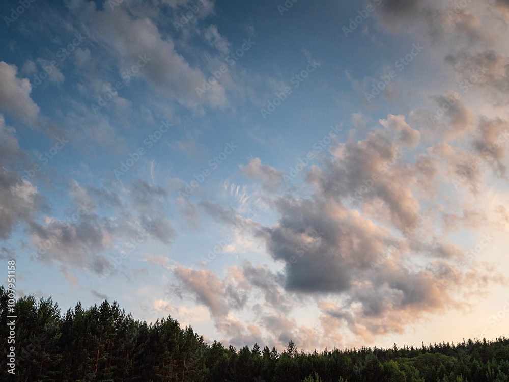 The Southern Urals. Silhouettes of pine trees against the sunset sky. The Southern Urals. Silhouettes of pine trees against the sunset sky.