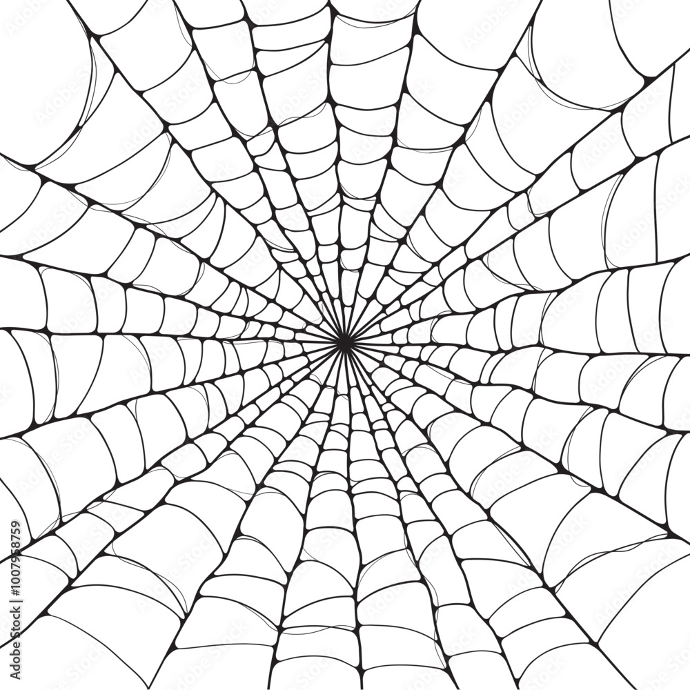 Fototapeta premium Isolated spider web