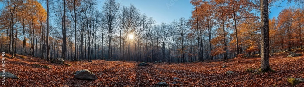 Fototapeta premium Dramatic landscape of a vibrant forest, tilted angle view showcasing natures beauty, environmental conservation theme