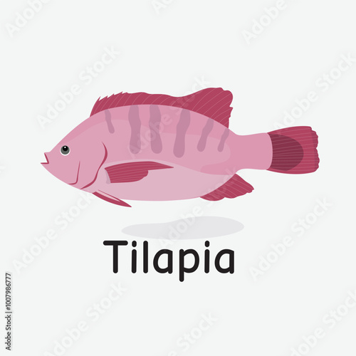 Tilapia Vector Illustration: Freshwater Edible Fish