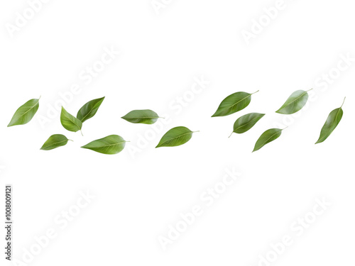 Green Leaves Flying in the Air Horizontal isolated Transparent, Generative AI