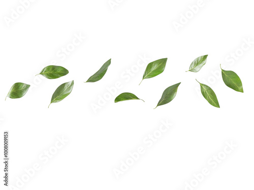 Green Leaves Flying in the Air Horizontal isolated Transparent, Generative AI