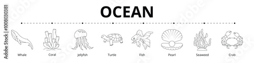 Ocean Line Banner Web Icon Set Vector Illustration, Whale Coral Jellyfish Turtle Fish Pearl Seaweed Crab