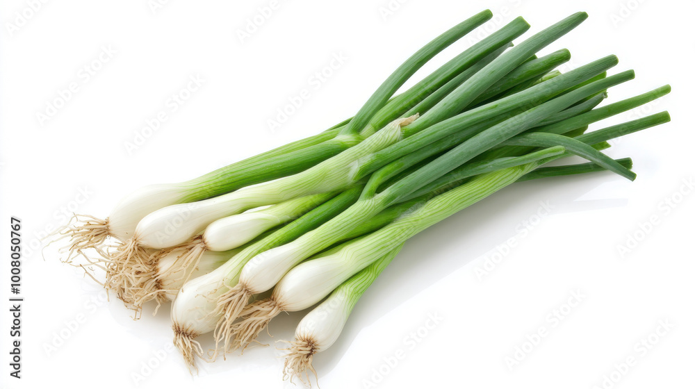 Fresh green onion on white background Fresh green onion on white background