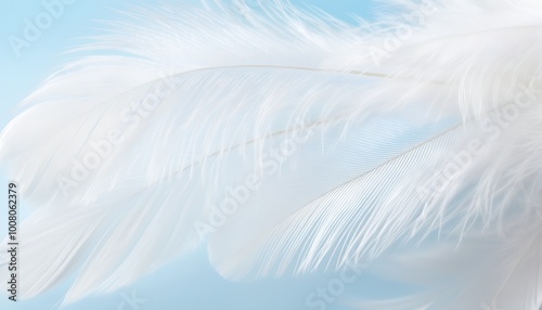 Lightweight white feather, floating against a dreamlike backdrop. photo