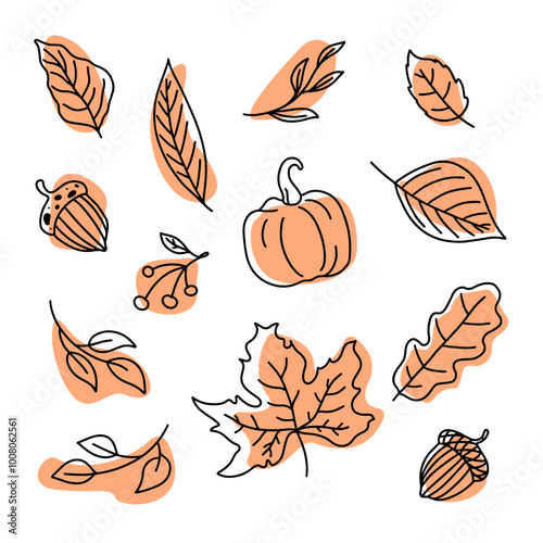Autumn vector set of bright colourful fall leaves, pumpkins, berries, acorn in flat minimal style. Fall design on white background