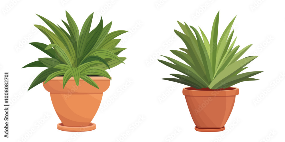 House plants in pots. Element for design house, room or office. Isolated element on white background. House plants in pots. Element for design house, room or office. Isolated element on white background.