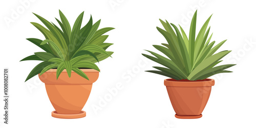 House plants in pots. Element for design house, room or office. Isolated element on white background.