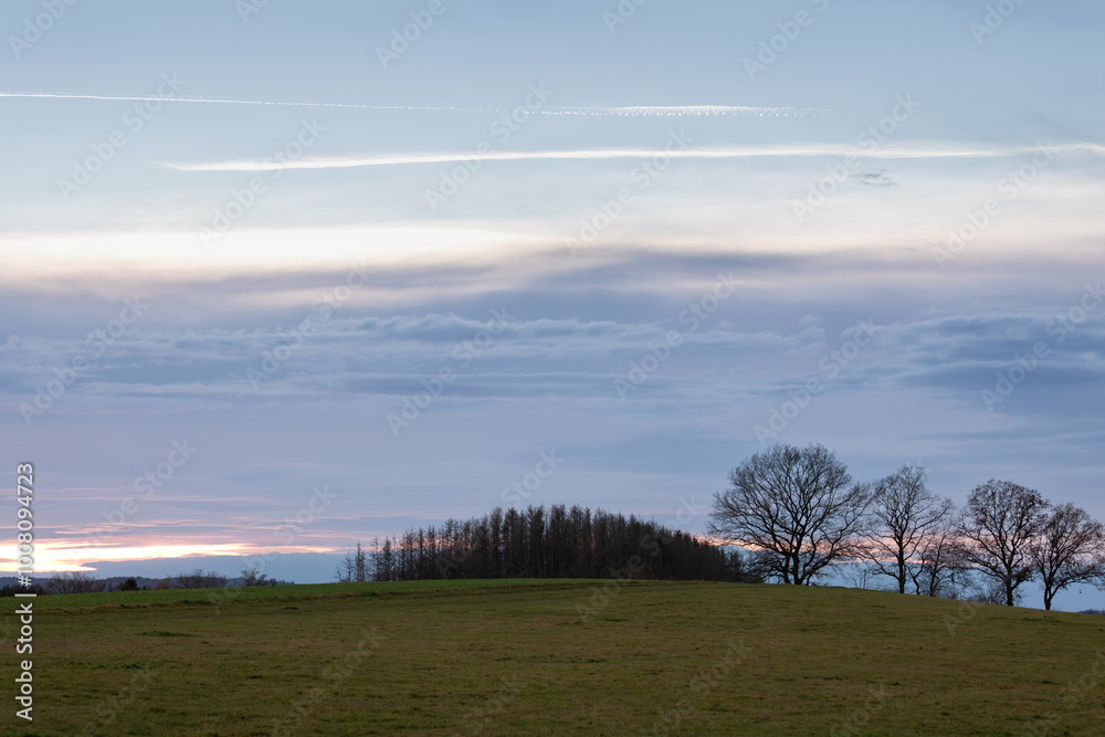 Evening landscape - trees on the horizon and clouds