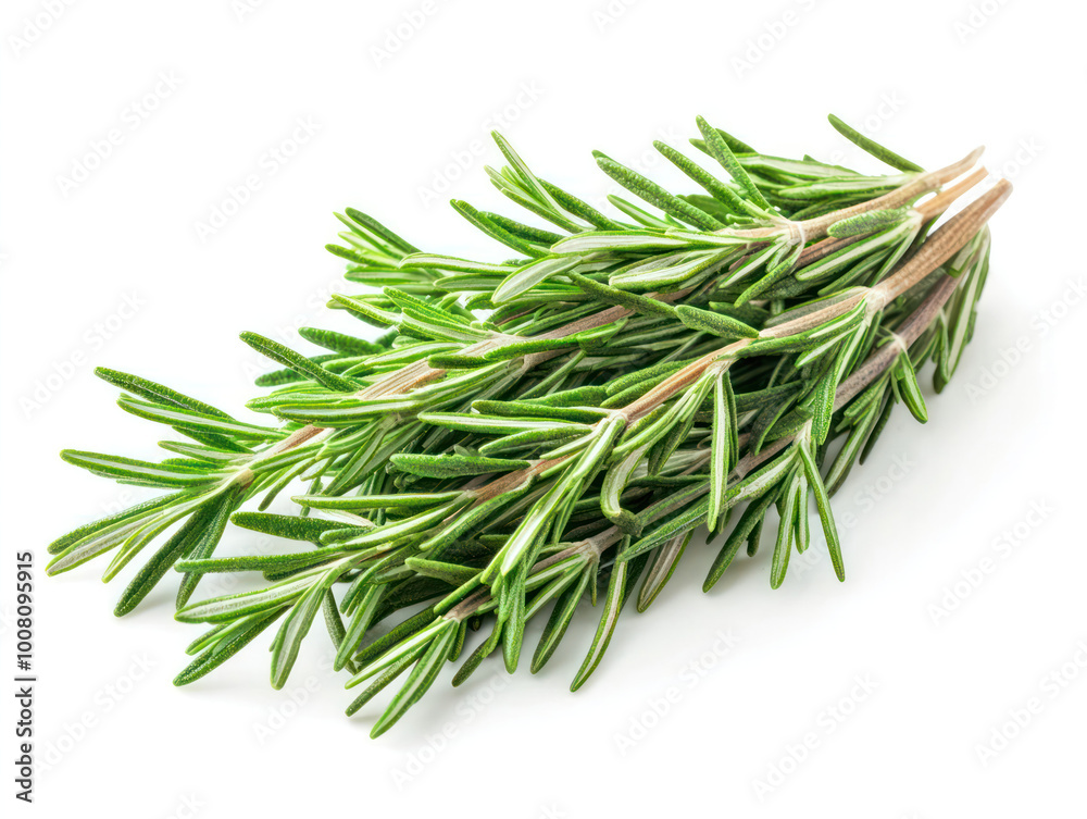 Fresh green organic rosemary leaves isolated on white transparent background. Generative AI Fresh green organic rosemary leaves isolated on white transparent background. Generative AI