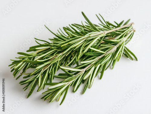 Fresh green organic rosemary leaves isolated on white transparent background. Generative AI