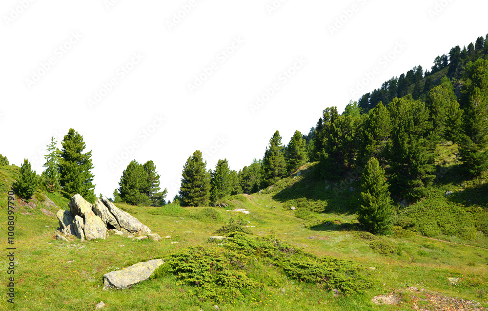 Naklejka premium Mountain meadow with trees isolated on a transparent PNG background.