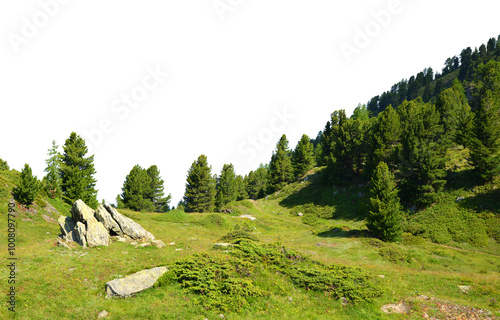 Fototapeta Naklejka Na Ścianę i Meble -  Mountain meadow with trees isolated on a transparent PNG background.
