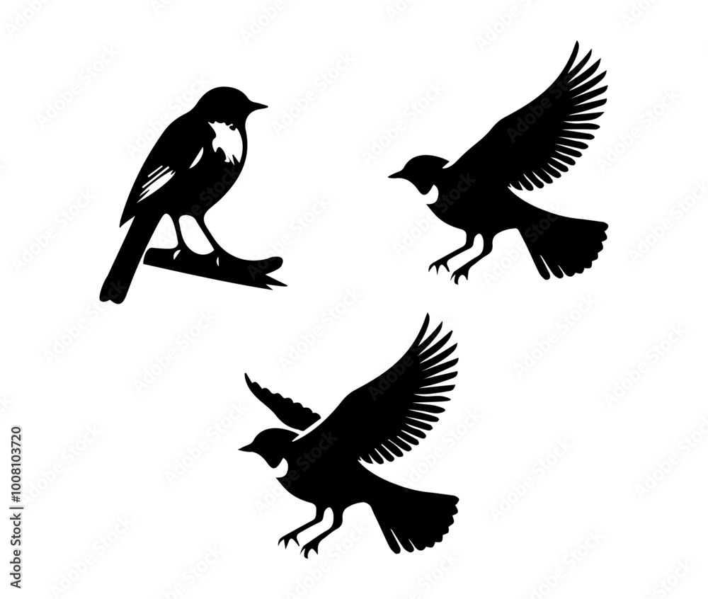 Obraz premium set of silhouettes of birds