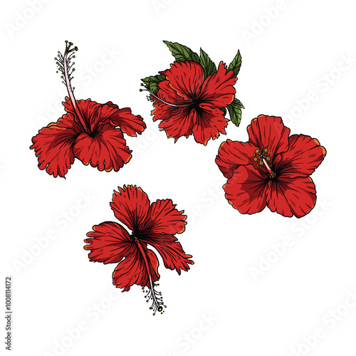 red hibiscus flowers
