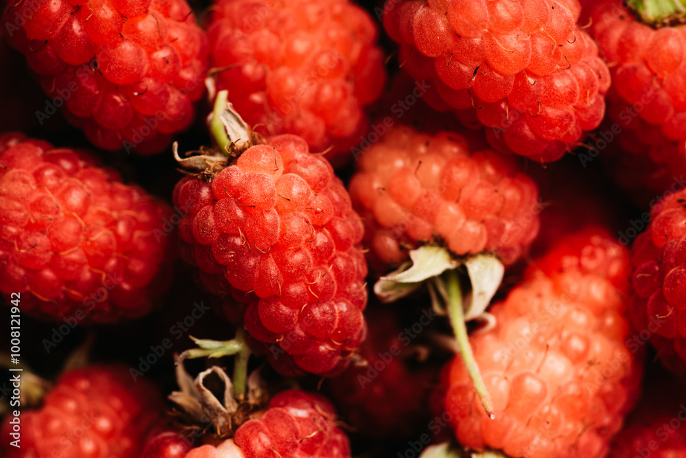 Ripe and juicy raspberry on the dark rustic background. Selective focus. Shot from above. Ripe and juicy raspberry on the dark rustic background. Selective focus. Shot from above.