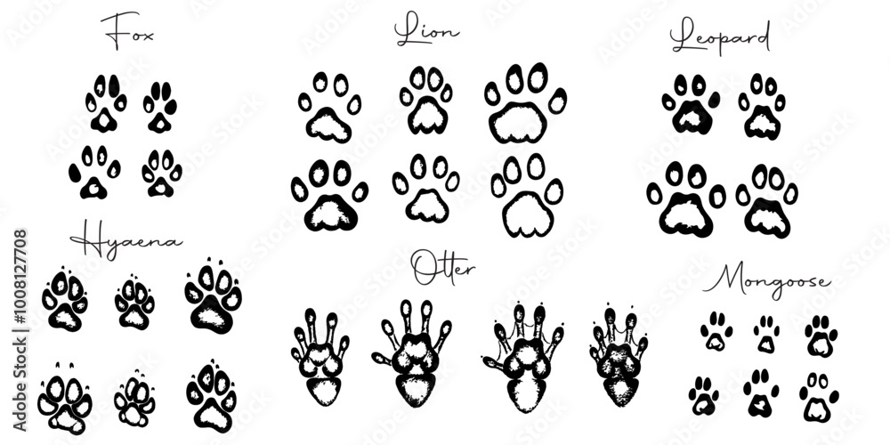 Hand drawn wild animals foot prints